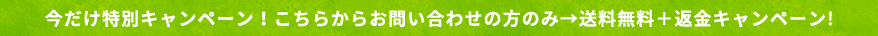 今だけ特別キャンペーン！こちらからお問い合わせの方のみ→送料無料＋返金キャンペーン!