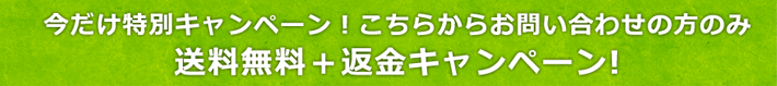 今だけ特別キャンペーン！こちらからお問い合わせの方のみ→送料無料＋返金キャンペーン!